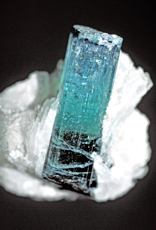 Multi-colour elbaite tourmaline crystal showing pink and green zones on quartz matrix