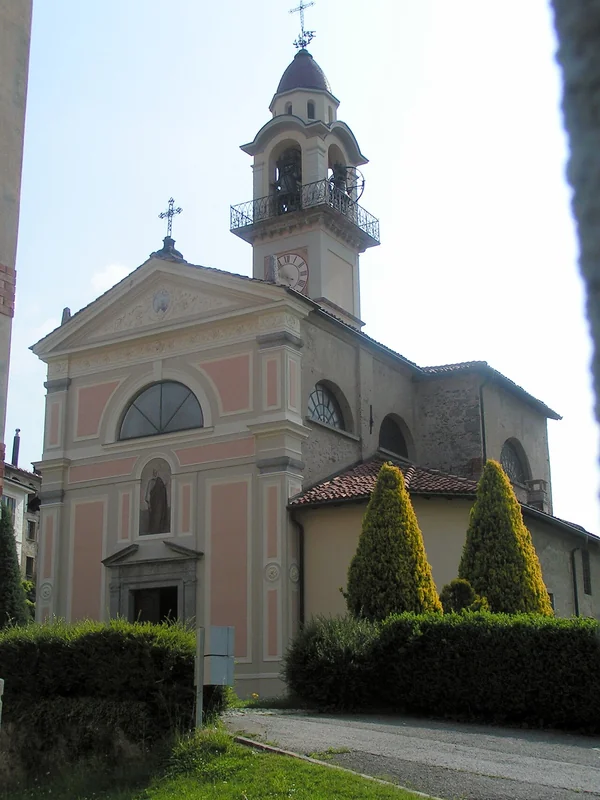 Curio sp.