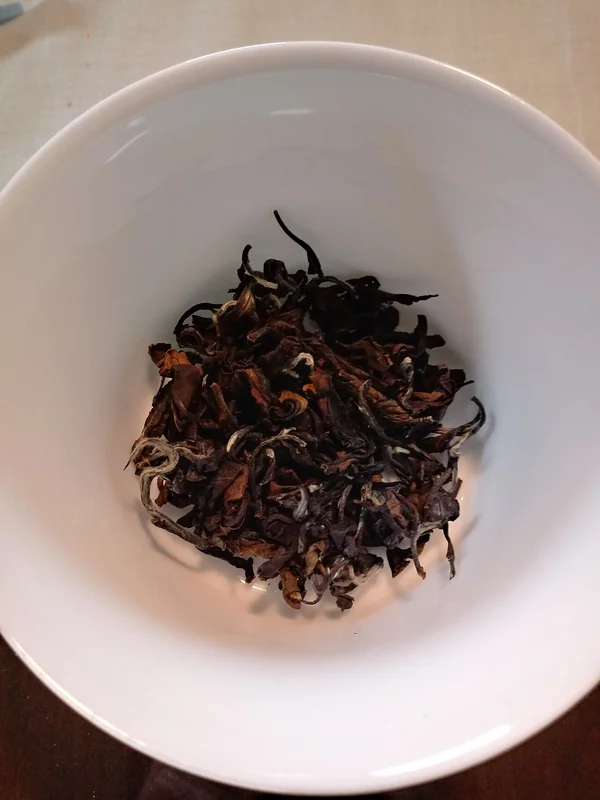 Eastern Beauty oolong dry leaves showing multi-colour white tips, green, brown, and red