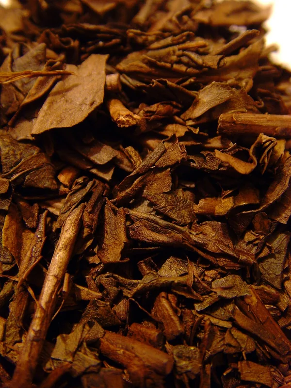 Hojicha roasted green tea — brown leaves and amber infusion