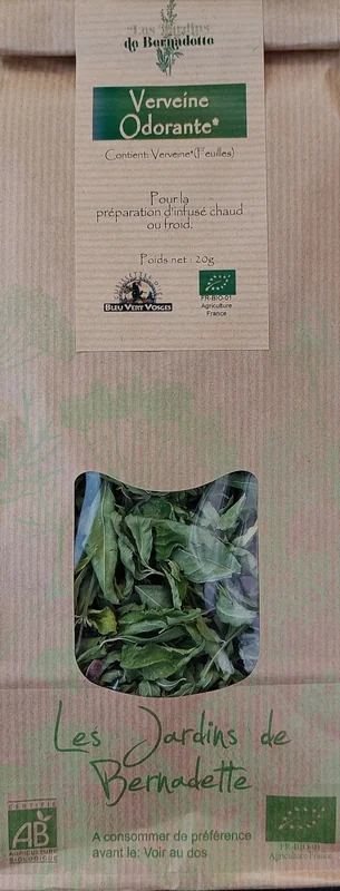 Lemon verbena (Aloysia citrodora) leaves and flowers on the plant