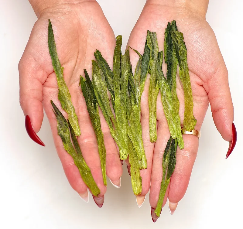 Taiping Houkui flat pressed large green tea leaves