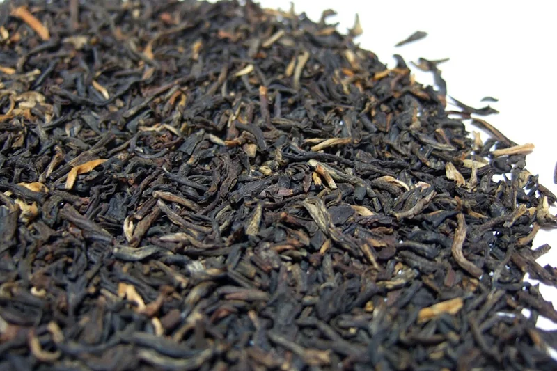 Yunnan golden bud black tea — all-golden trichome-covered tips