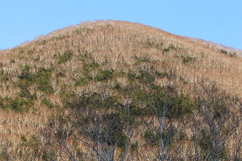 Natural landscape on Hokkaido, Japan